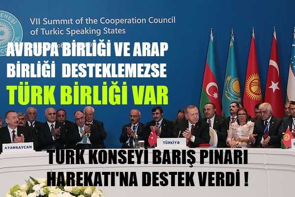 Türk Konseyi'nden Barış Pınarı Harekatı'na Destek