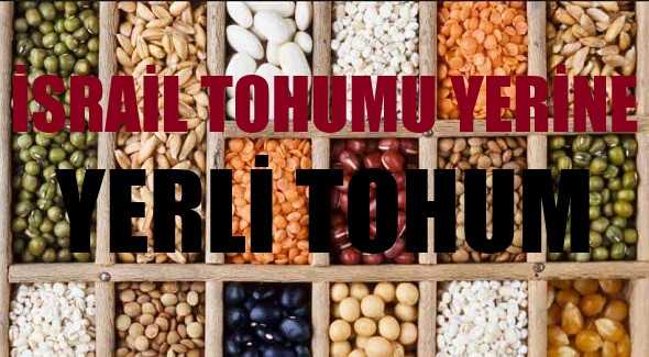Türkiye İsrail Tohumları Yerine Yerli Tohum Üretimine Hız Verdi