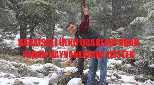 Karaisali Belediyesi Nin En Buyuk Gelir Kapisi Icraya Dustu
