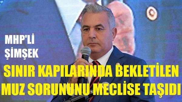 MHP'li Şimşek Sınırda Bekletilen Muz Sorununu TBMM'ye Taşıdı