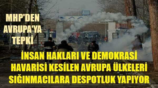 MHP'li Çetin: Demokrasi Havarisi Avrupa Despotluk Yapıyor