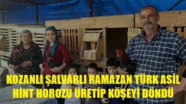 Kozanlı Şalvarlı Ramazan Türk Asil Hint Horozu Üretip Zengin Oldu