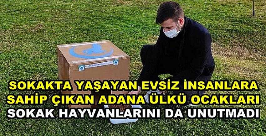 Adana Ülkü Ocakları'ndan Sokak Hayvanlarına Barınak 