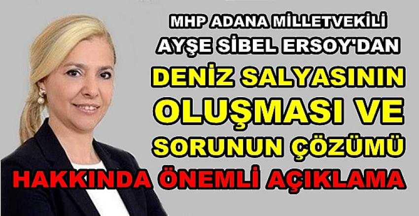 MHP'li Ersoy'dan Deniz Salyası Sorunu Hakkında Öneri     