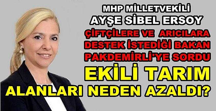 MHP'li Ayşe Sibel Ersoy: Ekili Tarım Alanları Neden Azaldı?   