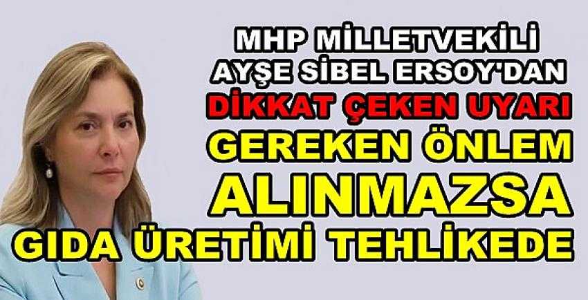 MHP'li Ersoy: Önlem Alınmazsa Gıda Üretimi Tehlikede  