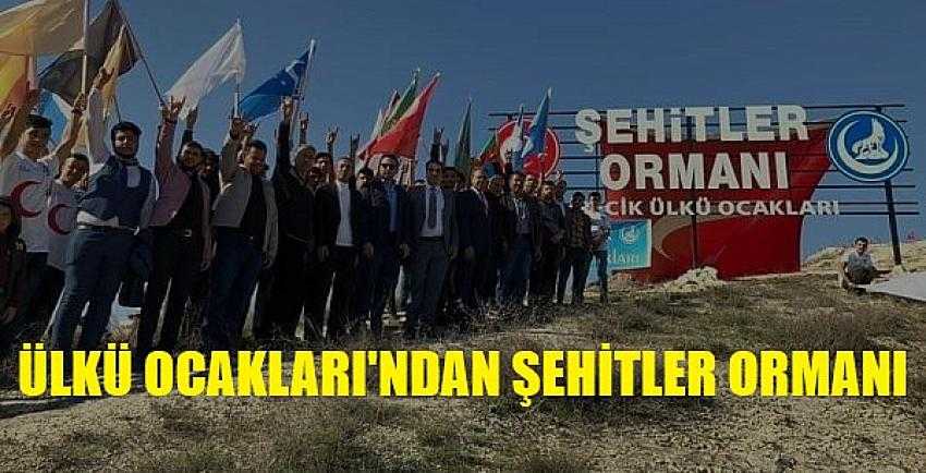 Ülkü Ocakları'ndan Şehitler Anısına Hatıra Ormanı    