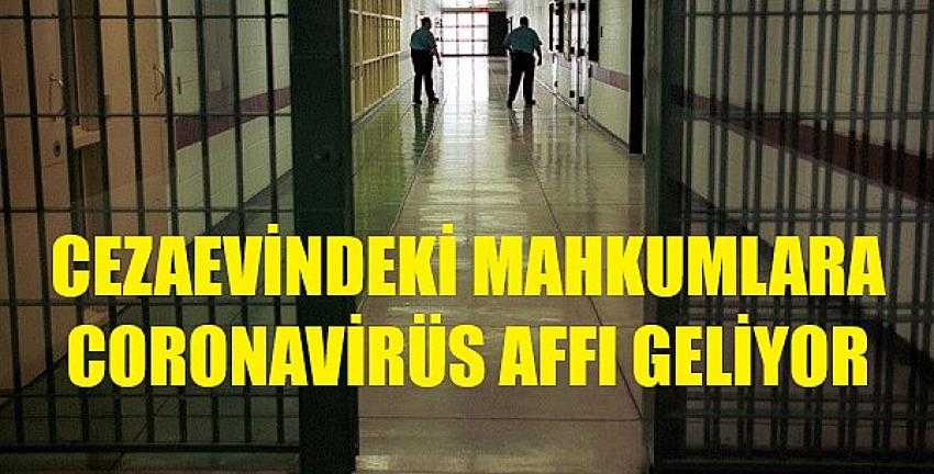 Cezaevindeki Mahkumlara Coronavirüs Affı Geliyor     