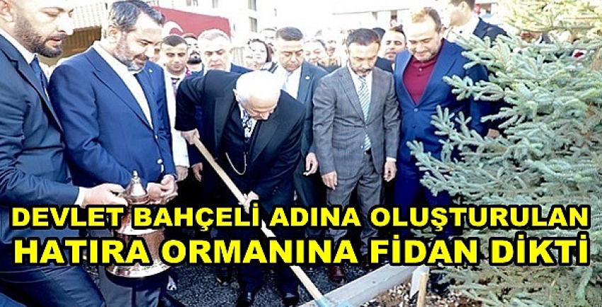 Bahçeli Adına Oluşturulan Hatıra Ormanına Fidan Dikti  