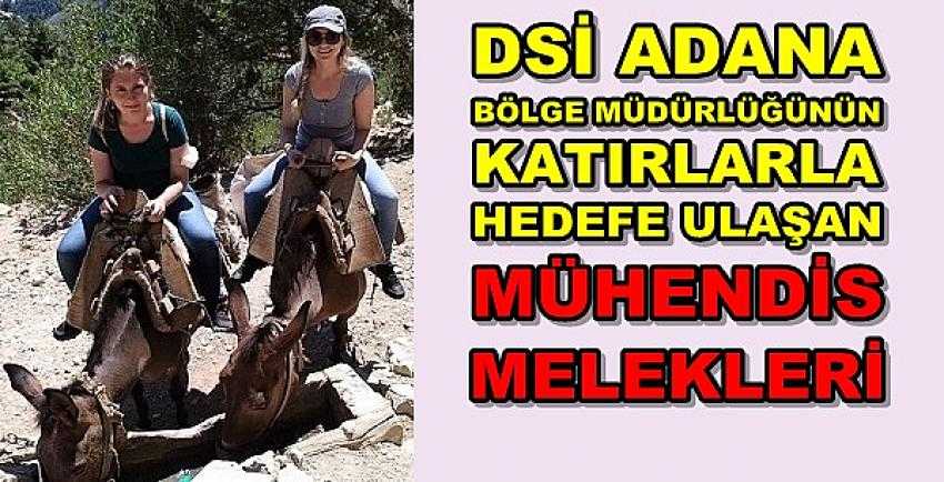 Adana'da Katır İle Hedefine Ulaşan DSİ'nin Mühendis Melekleri