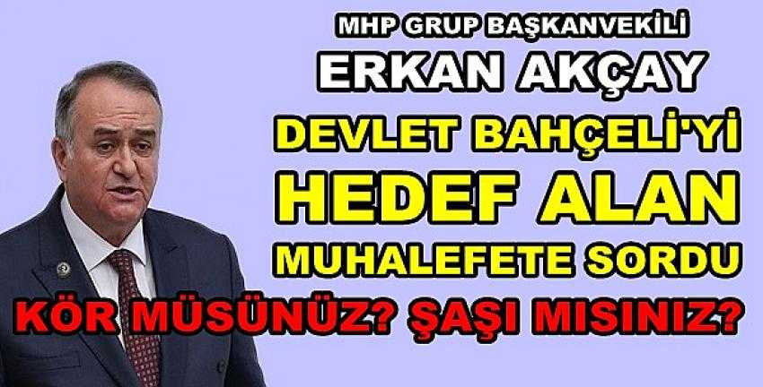 MHP'li Akçay'dan Muhaliflere: Kör müsünüz Şaşı mısınız? 