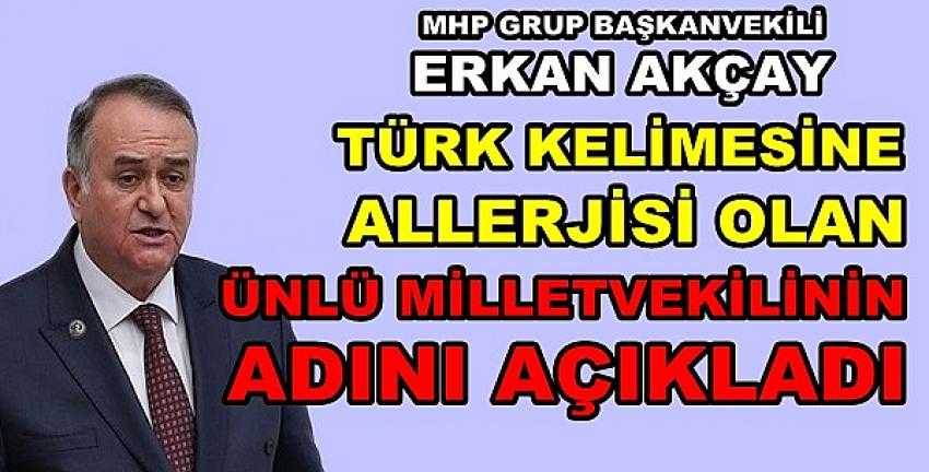 MHP'li Akçay Türk'e Allerjisi Olan Milletvekilini Açıkladı    