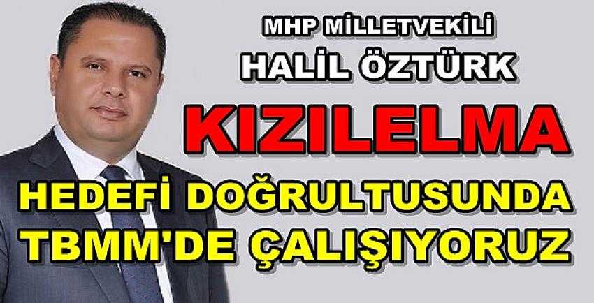 MHP'li Öztürk: Kızılelma Hedefi Çizgisinde Çalışıyoruz 