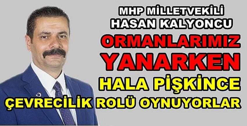 MHP'li Kalyoncu: Orman Yanarken Çevrecilik Rolü Oynandı  