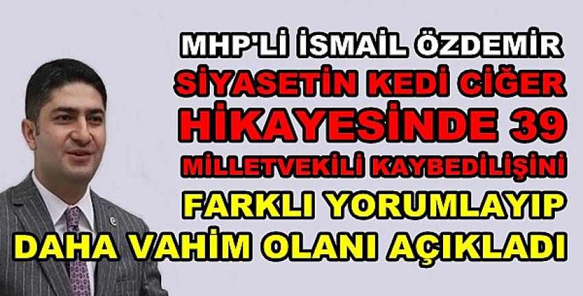 MHP'li Özdemir'den Kedi Ciğer Hikayesine Farklı Yorum  