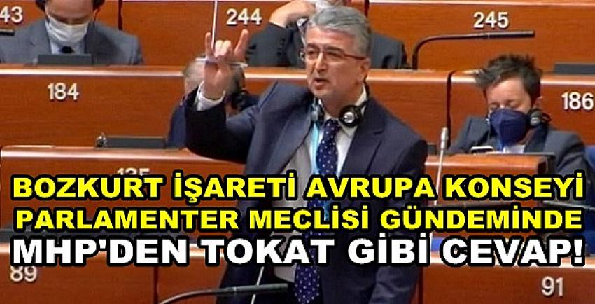 Bozkurt İşareti Avrupa Konseyi PM Gündeminde Tartışıldı