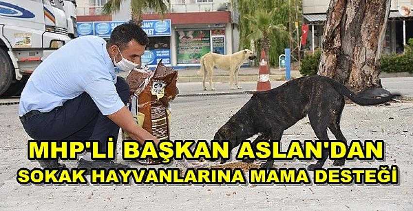 MHP'li Başkan Aslan'dan Sokak Hayvanlarına Mama Desteği