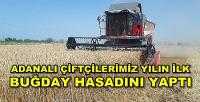 Adana'da Çiftçiler Buğday Hasadına Başladı