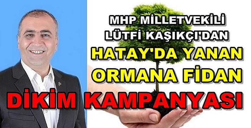 MHP'li Kaşıkçı'dan Yanan Ormana Fidan Dikim Kampanyası 