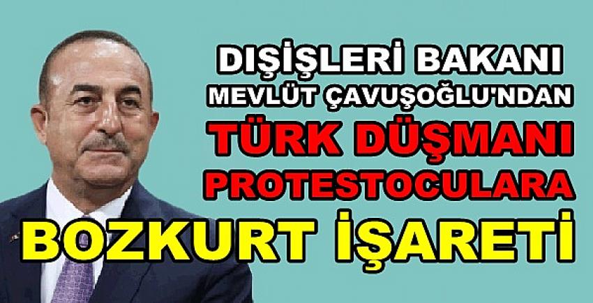 Bakan Çavuşoğlu'ndan Protestoculara Bozkurt İşareti  