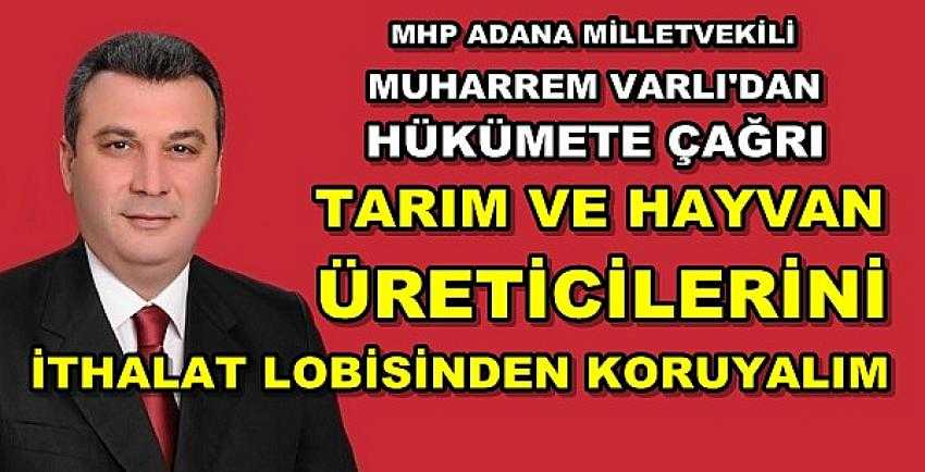 MHP'li Varlı'dan Hükümete İthalat Lobisi Uyarısı