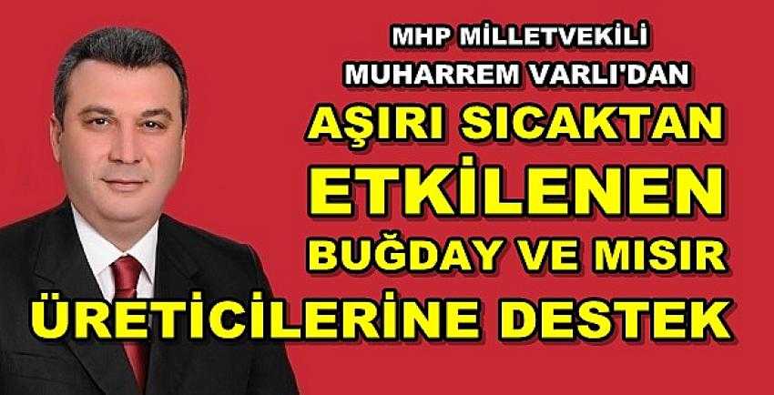 MHP'li Varlı'dan Buğday ve Mısır Üreticilerine Destek