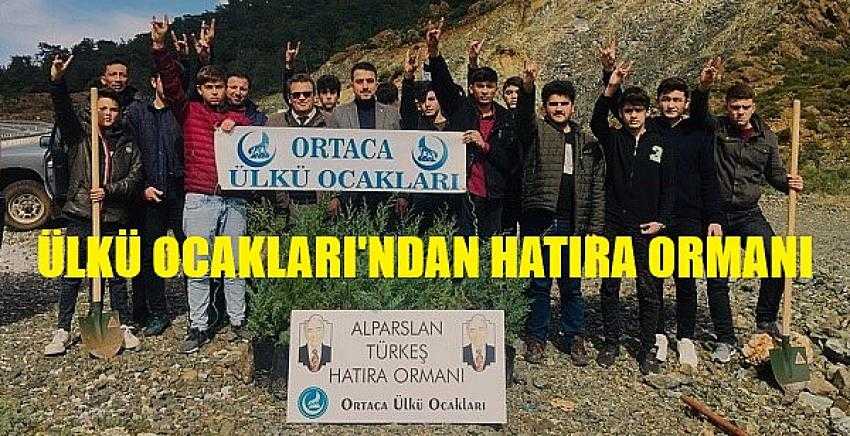 Ülkü Ocakları'ndan Alparslan Türkeş Hatıra Ormanı     