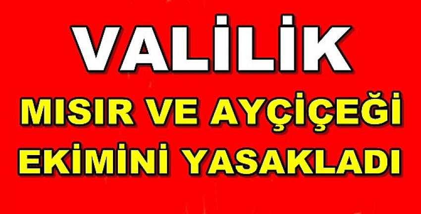 Valilik Mısır ve Ayçiçeği Ekimini Yasakladı  