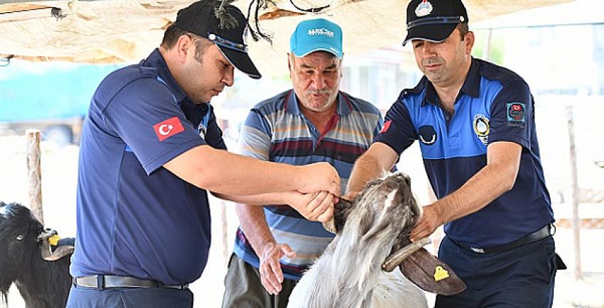 MHP'li Başkan Uludağ'dan Kurban Bayramı Uyarısı          