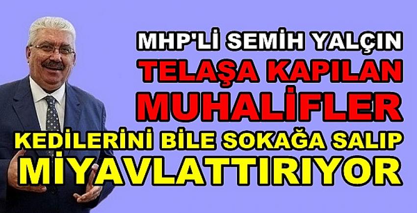 MHP'li Yalçın: Telaşa Kapılanlar Kedilerini Sokağa Saldı  