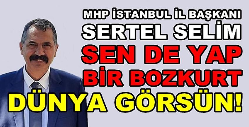 MHP'li Sertel Selim: Sen de Yap Bir Bozkurt Dünya Görsün  