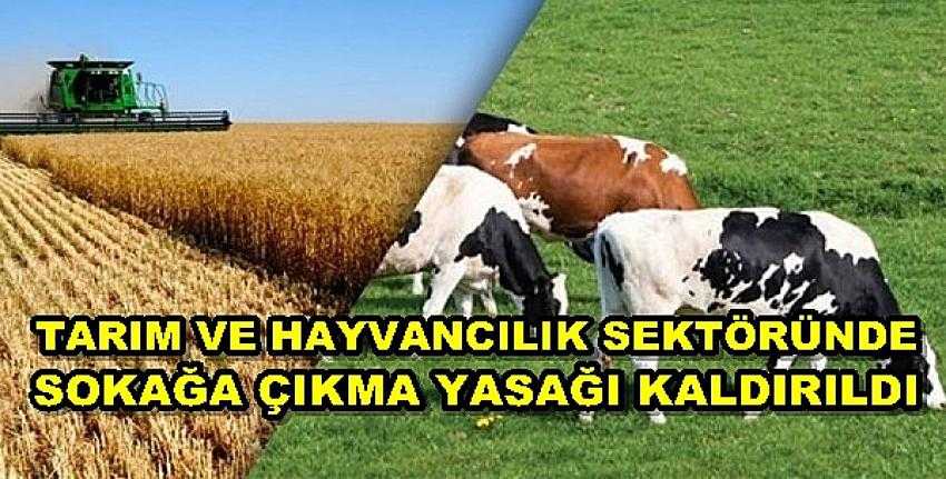 Tarım ve Hayvancılık Sektörü Sokağa Çıkabilecek 