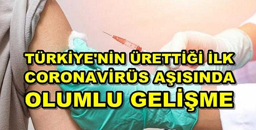 Türkiye'nin İlk Coronavirüs Aşısında Olumlu Gelişme