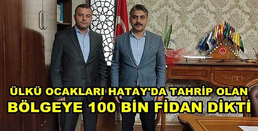 Ülkü Ocakları Hatay Yangın Bölgesine Fidan Dikti