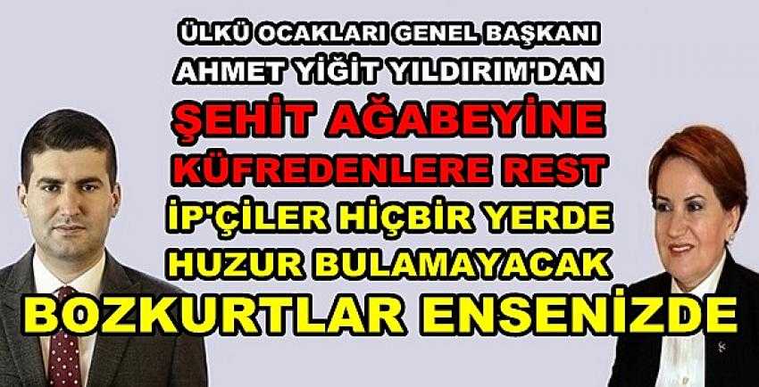 Yıldırım'dan Şehit Ağabeyine Küfreden Türkkan'a Tepki    