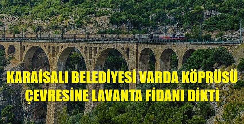 Karaisalı Belediyesi Varda Köprüsü Çevresine Lavanta Dikti     