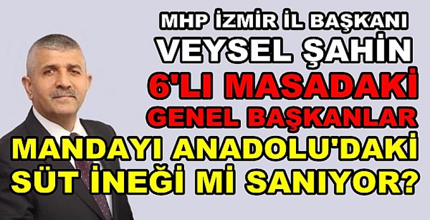 MHP'li Veysel Şahin: Mandayı Süt İneği mi Sanıyorlar?